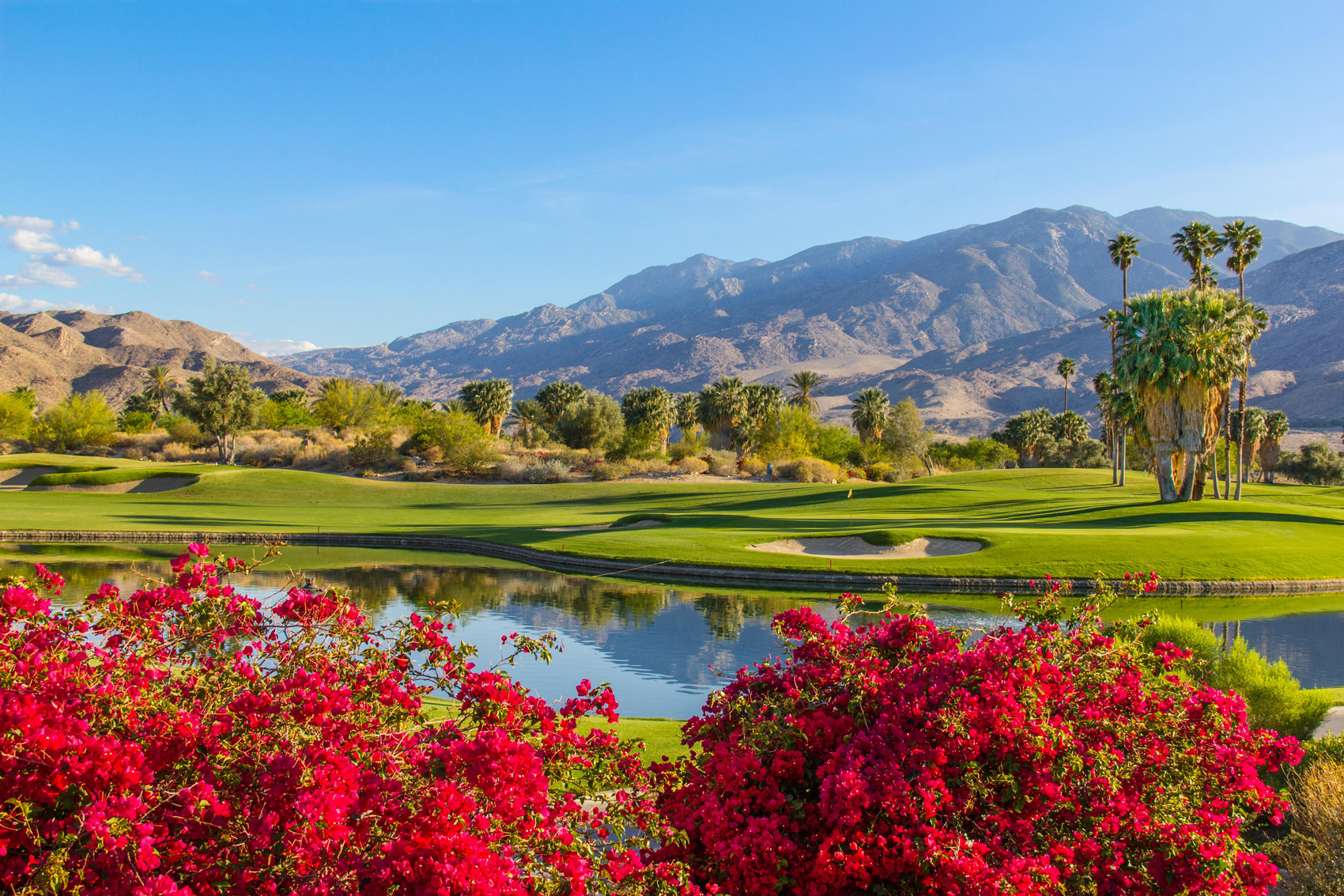 Golf Course in Palm Springs